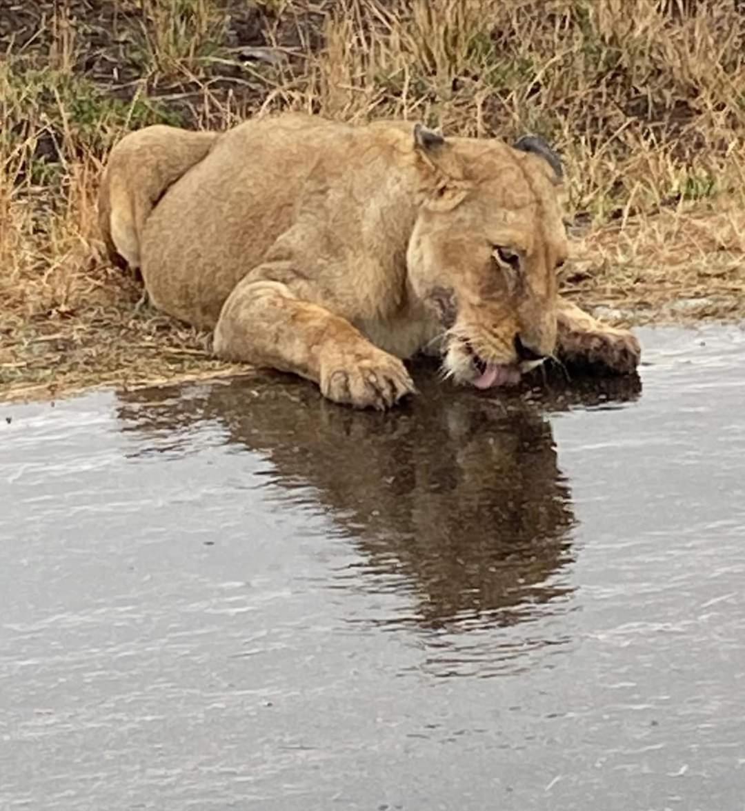Overnight Stop Before Kruger National Park Phalaborwa Extérieur photo
