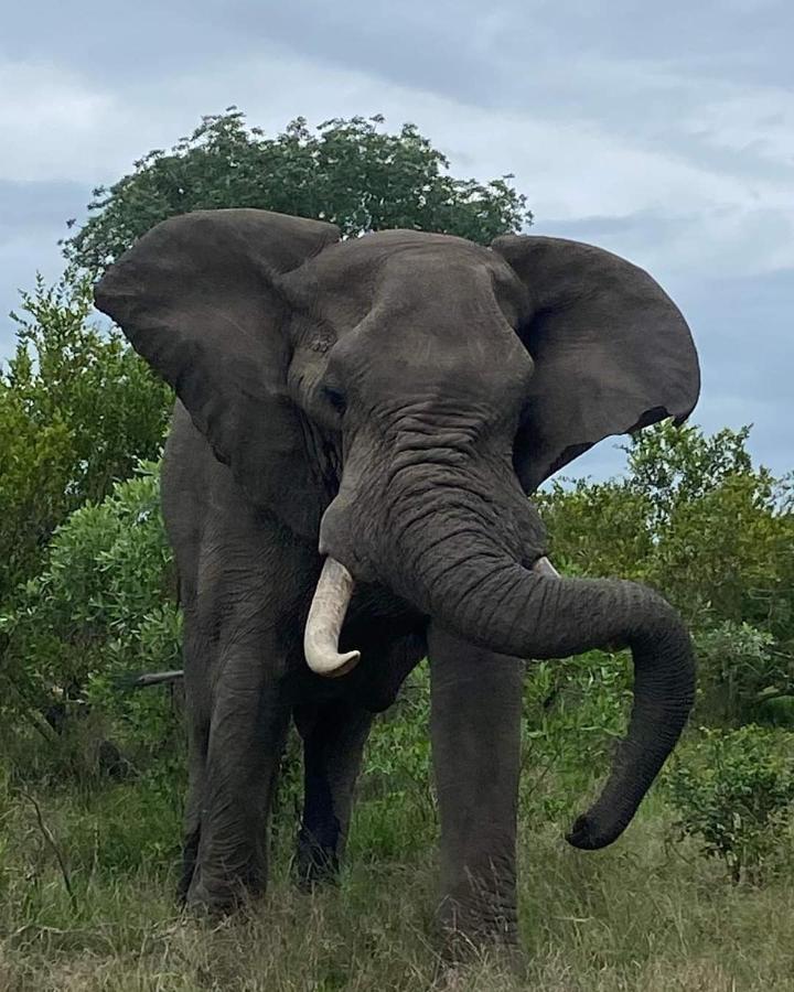 Overnight Stop Before Kruger National Park Phalaborwa Extérieur photo
